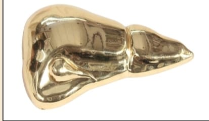 metal table top gold liver